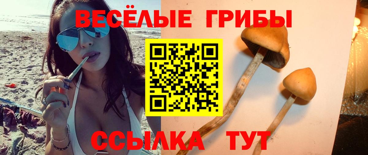 Галлюциногенные грибы Magic Shrooms  Галлюциногенные грибы Psilocybine cubensis  Дзержинский  Вход с VPN 